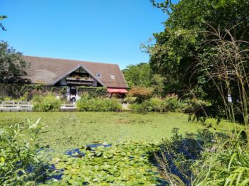 スタッフブログ　蔭山組　和歌山市　和歌山　リフォーム