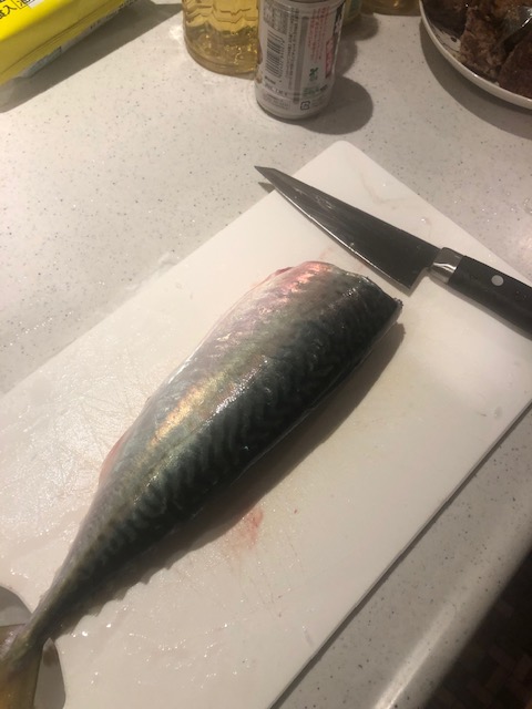 しめ鯖の作り方🐟