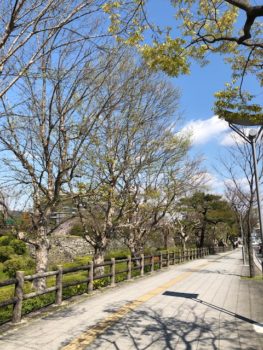 和歌山城　和歌山市