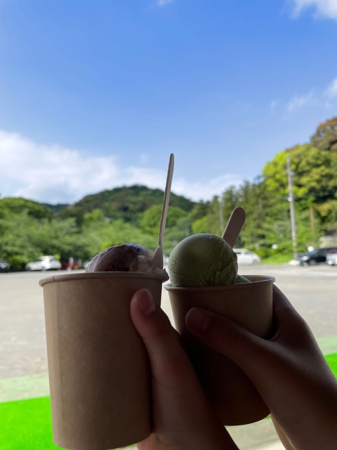 蔭山組　根来寺