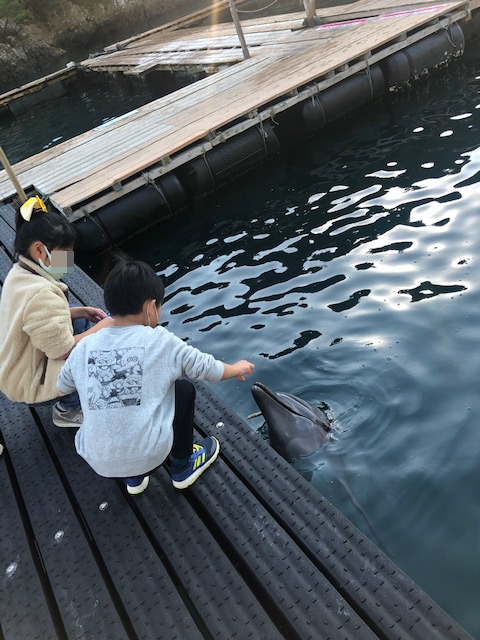 くじらの博物館