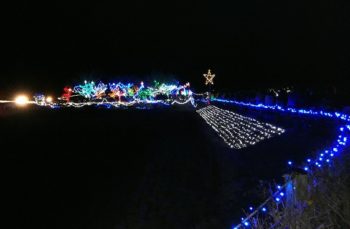 貴志川イルミネーション　平池