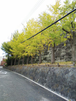 和歌山城 紅葉 蔭山組 和歌山市 和歌山 リフォーム リフォーム会社